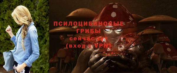 apvp Осинники