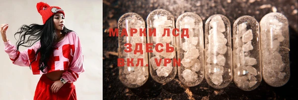 apvp Осинники