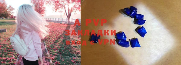 apvp Осинники