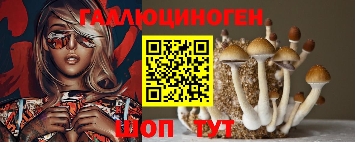Стрежевой  Галлюциногенные грибы MAGIC MUSHROOMS  Вход с VPN 